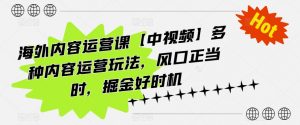 海外内容运营课【中视频】多种内容运营玩法，风口正当时，掘金好时机-小本创业副业项目推荐_零成本在家赚钱项目_中赚网
