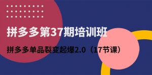 拼多多第37期培训班：拼多多单品裂变起爆2.0（17节课）-小本创业副业项目推荐_零成本在家赚钱项目_中赚网