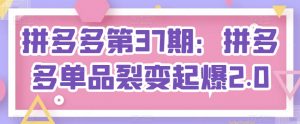 拼多多第37期：拼多多单品裂变起爆2.0-小本创业副业项目推荐_零成本在家赚钱项目_中赚网