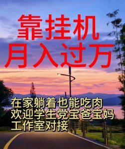 靠挂机，日入1000+，躺着也能吃肉，适合宝爸宝妈学生党工作室，电脑手…-小本创业副业项目推荐_零成本在家赚钱项目_中赚网