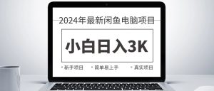 2024最新闲鱼卖电脑项目，新手小白日入3K+，最真实的项目教学-小本创业副业项目推荐_零成本在家赚钱项目_中赚网