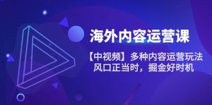 海外内容运营课【中视频】多种内容运营玩法 风口正当时 掘金好时机（101节）-小本创业副业项目推荐_零成本在家赚钱项目_中赚网