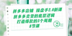 拼多多店铺 操盘手2.0新课，拼多多卖货的底层逻辑，打造爆款的3个周期-8节-小本创业副业项目推荐_零成本在家赚钱项目_中赚网