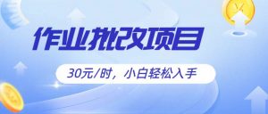 作业批改项目30元/时，简单小白轻松入手，非常适合兼职-小本创业副业项目推荐_零成本在家赚钱项目_中赚网