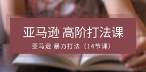 亚马逊 高阶打法课，亚马逊 暴力打法（14节课）-小本创业副业项目推荐_零成本在家赚钱项目_中赚网