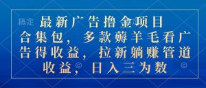 最新广告撸金项目合集包，多款薅羊毛看广告收益 拉新管道收益，日入三为数-小本创业副业项目推荐_零成本在家赚钱项目_中赚网