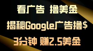 看广告，撸美金！3分钟赚2.5美金！日入200美金不是梦！揭秘Google广告…-小本创业副业项目推荐_零成本在家赚钱项目_中赚网