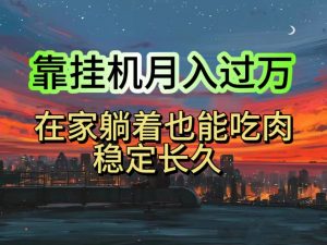挂机项目日入1000+，躺着也能吃肉，适合宝爸宝妈学生党工作室，电脑手…-小本创业副业项目推荐_零成本在家赚钱项目_中赚网