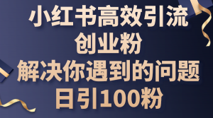 小红书高效引流创业粉，解决你遇到的问题，日引100粉-小本创业副业项目推荐_零成本在家赚钱项目_中赚网