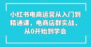小红书电商运营从入门到精通课，电商店群实战，从0开始到学会-小本创业副业项目推荐_零成本在家赚钱项目_中赚网