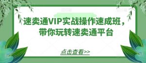 速卖通VIP实战操作速成班，带你玩转速卖通平台-小本创业副业项目推荐_零成本在家赚钱项目_中赚网