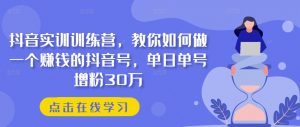 抖音实训训练营，教你如何做一个赚钱的抖音号，单日单号增粉30万-小本创业副业项目推荐_零成本在家赚钱项目_中赚网