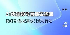 21天-视频号直播实操课，视频号X私域高效引流与转化（22节课）-小本创业副业项目推荐_零成本在家赚钱项目_中赚网