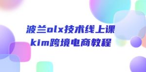 波兰olx 技术线上课，kim跨境电商教程-小本创业副业项目推荐_零成本在家赚钱项目_中赚网