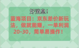 越早知道越能赚到钱的蓝海项目：京东大平台操作，一单利润20-30，简单…-小本创业副业项目推荐_零成本在家赚钱项目_中赚网