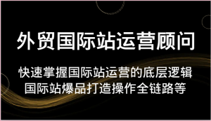外贸国际站运营顾问-快速掌握国际站运营的底层逻辑，国际站爆品打造操作全链路等-小本创业副业项目推荐_零成本在家赚钱项目_中赚网