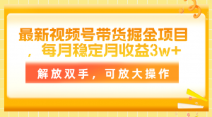 最新视频号带货掘金项目，每月稳定月收益3w+，解放双手，可放大操作-小本创业副业项目推荐_零成本在家赚钱项目_中赚网