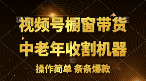 视频号最火爆赛道，橱窗带货，流量分成计划，条…-小本创业副业项目推荐_零成本在家赚钱项目_中赚网