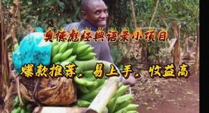 奥德彪经典语录小项目，爆款推荐，易上手，收益高-小本创业副业项目推荐_零成本在家赚钱项目_中赚网