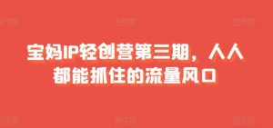 宝妈IP轻创营第三期，人人都能抓住的流量风口-小本创业副业项目推荐_零成本在家赚钱项目_中赚网