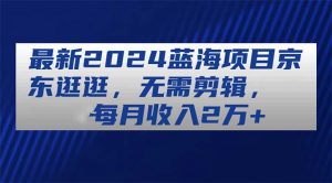 最新2024蓝海项目京东逛逛，无需剪辑，每月收入2万+-小本创业副业项目推荐_零成本在家赚钱项目_中赚网