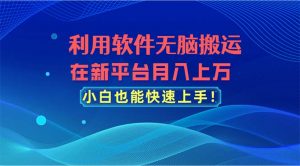 利用软件无脑搬运，在新平台月入上万，小白也能快速上手-小本创业副业项目推荐_零成本在家赚钱项目_中赚网