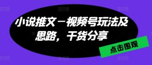 小说推文—视频号玩法及思路，干货分享-小本创业副业项目推荐_零成本在家赚钱项目_中赚网
