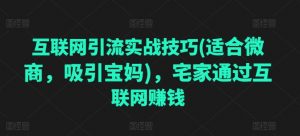 互联网引流实战技巧(适合微商，吸引宝妈)，宅家通过互联网赚钱-小本创业副业项目推荐_零成本在家赚钱项目_中赚网