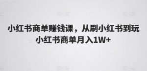 小红书商单赚钱课，从刷小红书到玩小红书商单月入1W+-小本创业副业项目推荐_零成本在家赚钱项目_中赚网