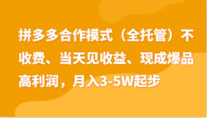 最新拼多多模式日入4K+两天销量过百单，无学费、老运营代操作、小白福利-小本创业副业项目推荐_零成本在家赚钱项目_中赚网