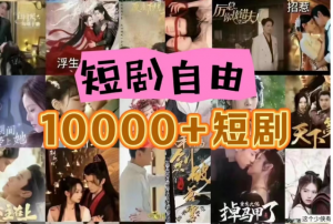 打造完全属于自己的个人短剧库，实现网盘拉新与私域变现的完美融合！-小本创业副业项目推荐_零成本在家赚钱项目_中赚网