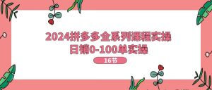 2024拼多多全系列课程实操,日销0-100单实操【16节课】-小本创业副业项目推荐_零成本在家赚钱项目_中赚网