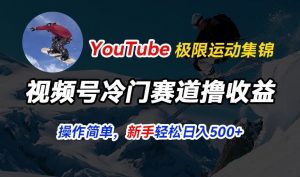 视频号冷门赛道撸收益，YouTube搬运极限运动集锦，暴力起号，操作简单流量高，轻松日入5张-小本创业副业项目推荐_零成本在家赚钱项目_中赚网