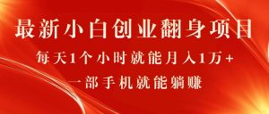 最新小白创业翻身项目，每天1个小时就能月入1万+，0门槛，一部手机就能…-小本创业副业项目推荐_零成本在家赚钱项目_中赚网