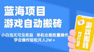 【蓝海项目】游戏自动搬砖 小白当天可见收益 单机也能批量操作 学会操…-小本创业副业项目推荐_零成本在家赚钱项目_中赚网