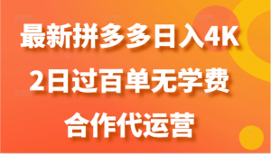 最新拼多多，日入4K+，2日过百单无学费，合作代运营-小本创业副业项目推荐_零成本在家赚钱项目_中赚网