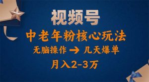 视频号火爆玩法，高端中老年粉核心打法，无脑操作，一天十分钟，月入两万-小本创业副业项目推荐_零成本在家赚钱项目_中赚网
