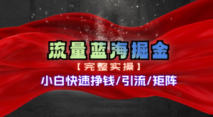 热门赛道掘金_小白快速入局挣钱，可矩阵【完整实操】-小本创业副业项目推荐_零成本在家赚钱项目_中赚网
