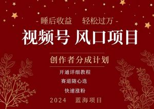 拥有睡眠收益的微信视频号大风口项目，轻松月入过万+，多赛道选择，可…-小本创业副业项目推荐_零成本在家赚钱项目_中赚网