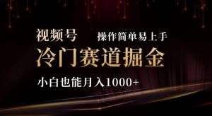 2024视频号冷门赛道掘金，操作简单轻松上手，小白也能月入1000+-小本创业副业项目推荐_零成本在家赚钱项目_中赚网