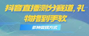 抖音直播测分赛道，多种变现方式，轻松日入1000+-小本创业副业项目推荐_零成本在家赚钱项目_中赚网