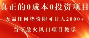 真正的0成本0投资项目，无需任何垫资即可日入2000+，当下最火风口项目教学-小本创业副业项目推荐_零成本在家赚钱项目_中赚网
