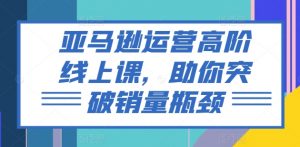 亚马逊运营高阶线上课，助你突破销量瓶颈-小本创业副业项目推荐_零成本在家赚钱项目_中赚网