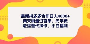 最新拼多多项目日入4000+两天销量过百单，无学费、老运营代操作、小白福利-小本创业副业项目推荐_零成本在家赚钱项目_中赚网
