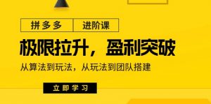 拼多多·进阶课：极限拉升/盈利突破：从算法到玩法 从玩法到团队搭建-18节-小本创业副业项目推荐_零成本在家赚钱项目_中赚网
