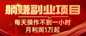 躺赚副业项目，每天操作不到一小时，月利润1万起，实战篇-小本创业副业项目推荐_零成本在家赚钱项目_中赚网