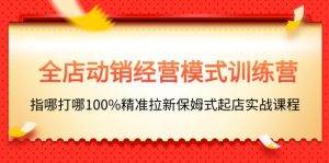 全店动销-经营模式训练营，指哪打哪100%精准拉新保姆式起店实战课程-小本创业副业项目推荐_零成本在家赚钱项目_中赚网
