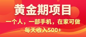 （11527期）黄金期项目，电商搞钱！一个人，一部手机，在家可做，每天收入500+-小本创业副业项目推荐_零成本在家赚钱项目_中赚网