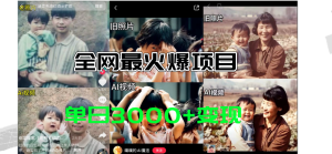 （11546期）全网爆火的AI让老照片动起来教程，蹭热点日赚3000+，内含免费工具一键…-小本创业副业项目推荐_零成本在家赚钱项目_中赚网