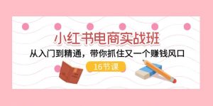 小红书电商实战班，从入门到精通，带你抓住又一个赚钱风口（17节）-小本创业副业项目推荐_零成本在家赚钱项目_中赚网
